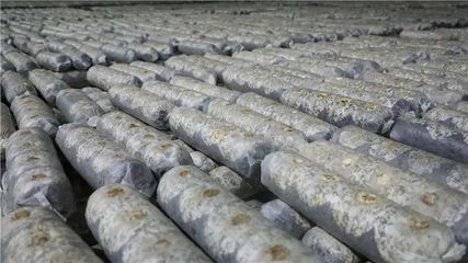 山陽、商南6個(gè)重點(diǎn)項(xiàng)目接受全市&ldquo;檢閱&rdquo;